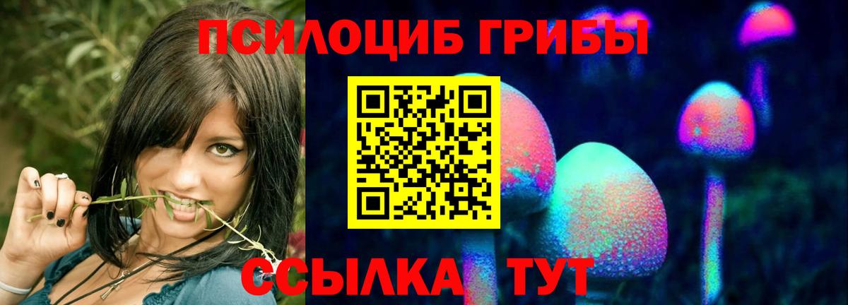 Псилоцибиновые грибы GOLDEN TEACHER  Вход с VPN  Шебекино 