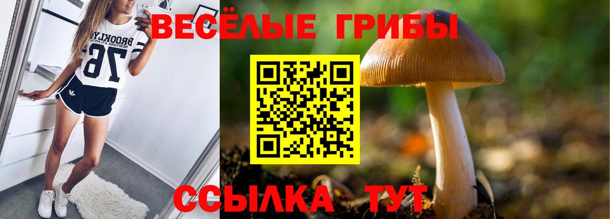 Галлюциногенные грибы прущие грибы Шебекино